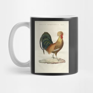 Domestic Hen Mug